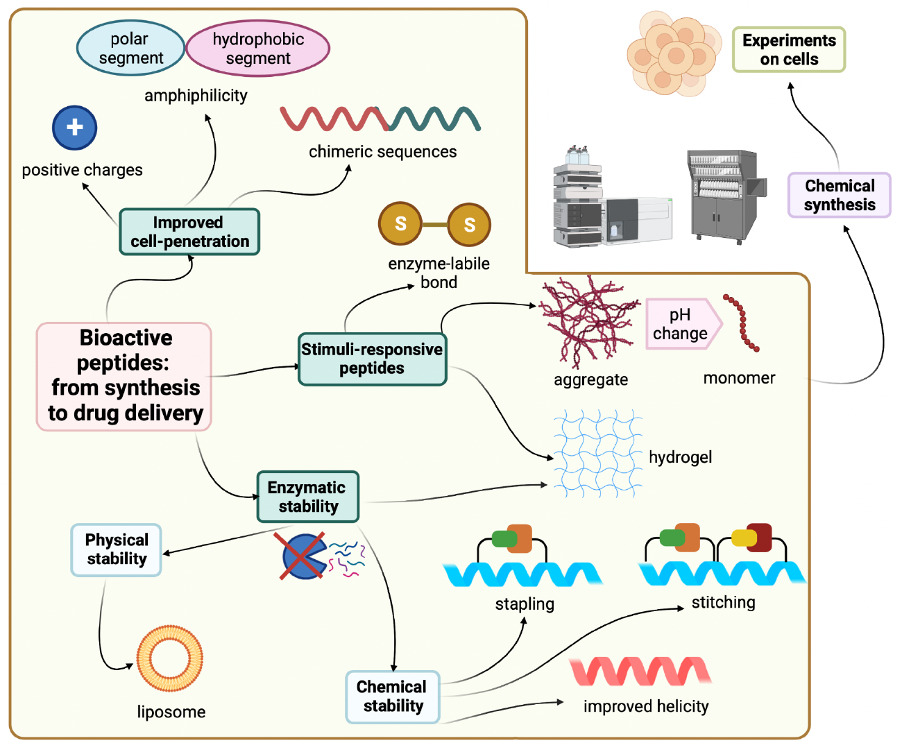 Strategies for Improving Peptide Stability and Delivery