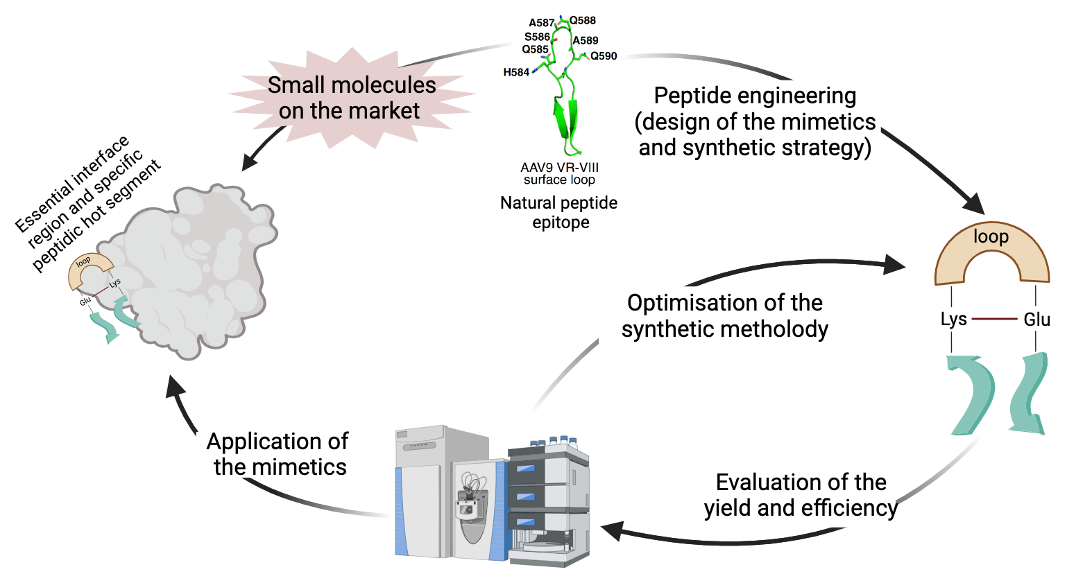 Advancements in Loop Cyclization Approaches for Enhanced Peptide Therapeutics for Targeting Protein–Protein Interactions