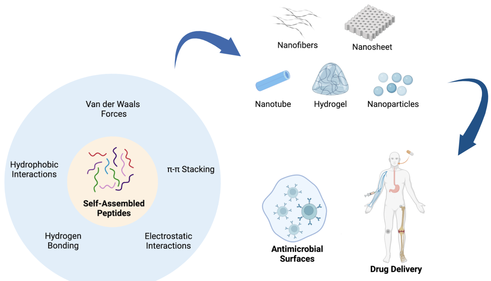 Peptide-Based Biomaterials for Combatting Infections and Improving Drug Delivery