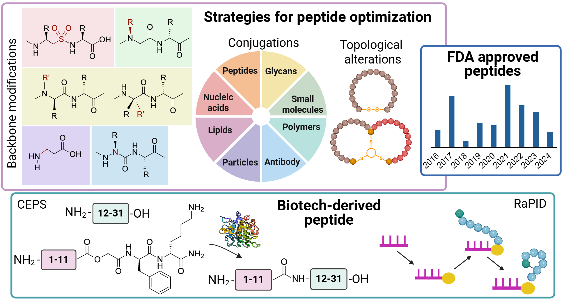 NEW PAPER: Advances in Peptidomimetics for Next-Generation Therapeutics: Strategies, Modifications, and Applications