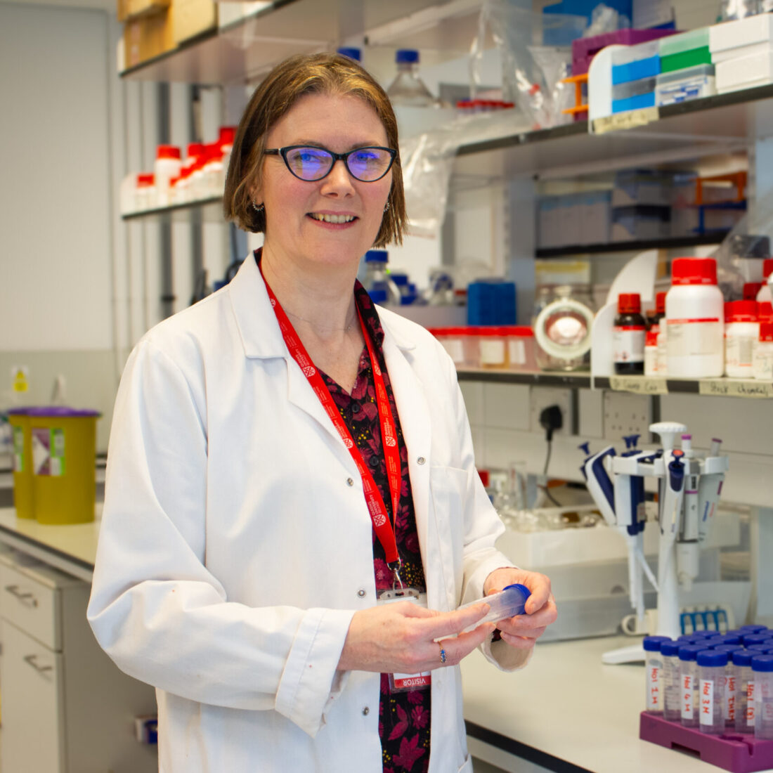 angelina madden belfast