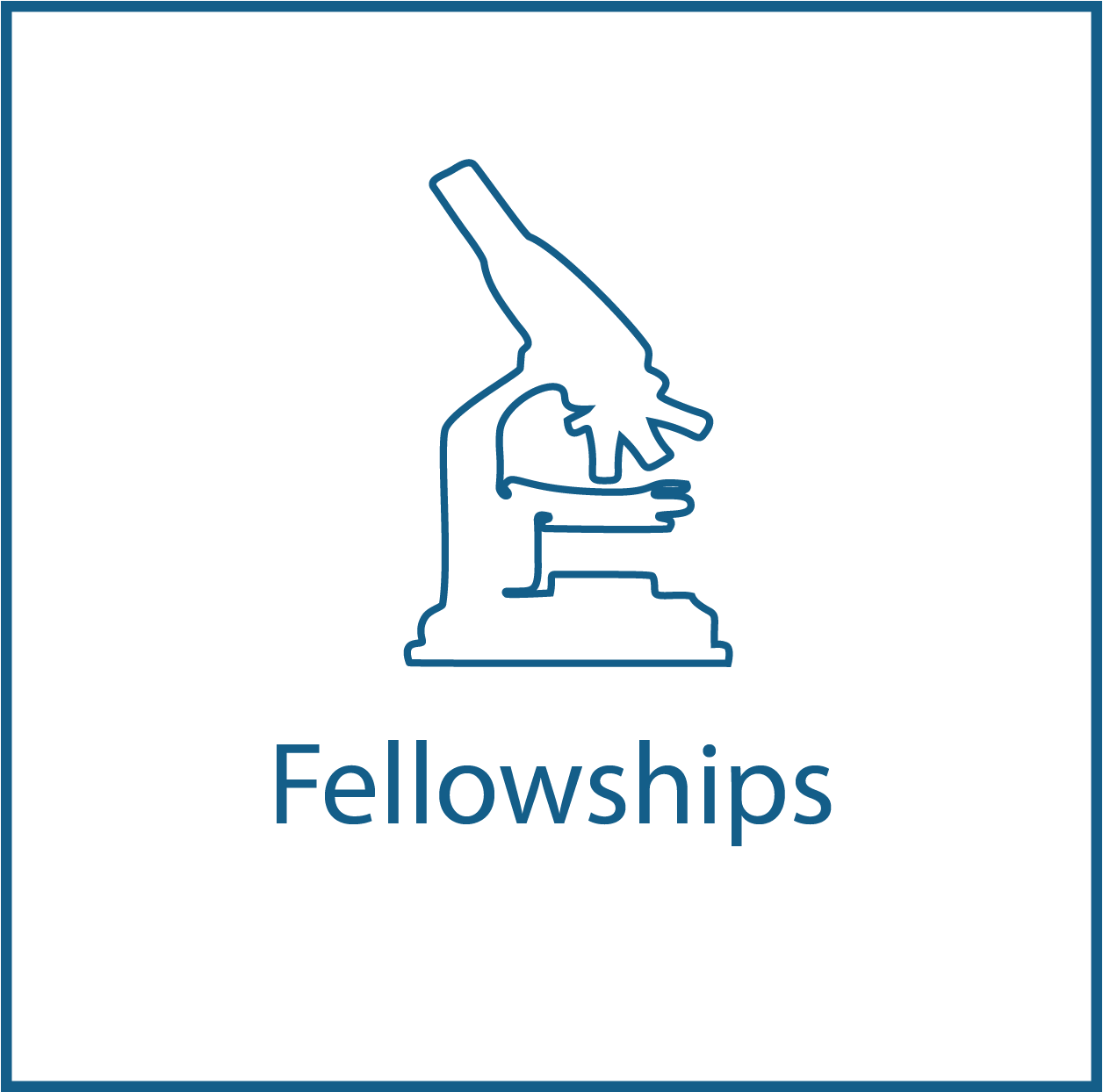 Open Fellowship Scheme