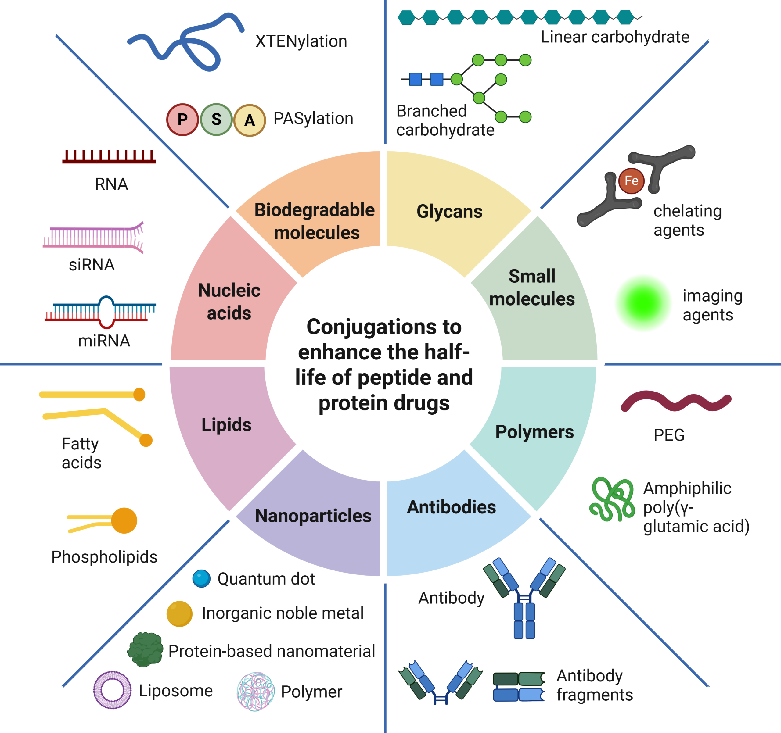 peptide conjugation